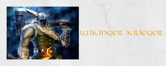 Wikinger Krieger